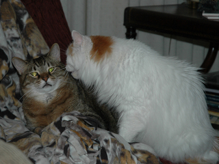 DSC_3495-1024-cropped.jpg