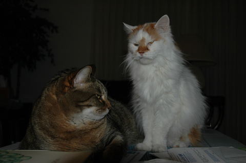 DSC_4309-1024.jpg