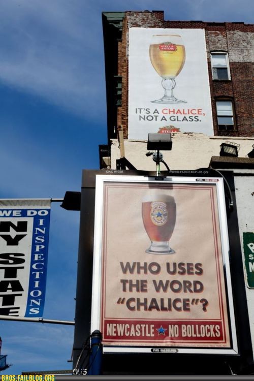 epic-fail-photos-bros-checkmate-stella.jpg