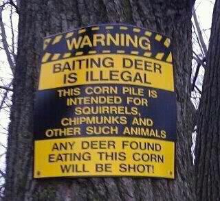 baitingdeerillegal.jpg