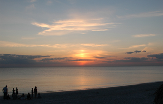 DSC_0507-320.jpg